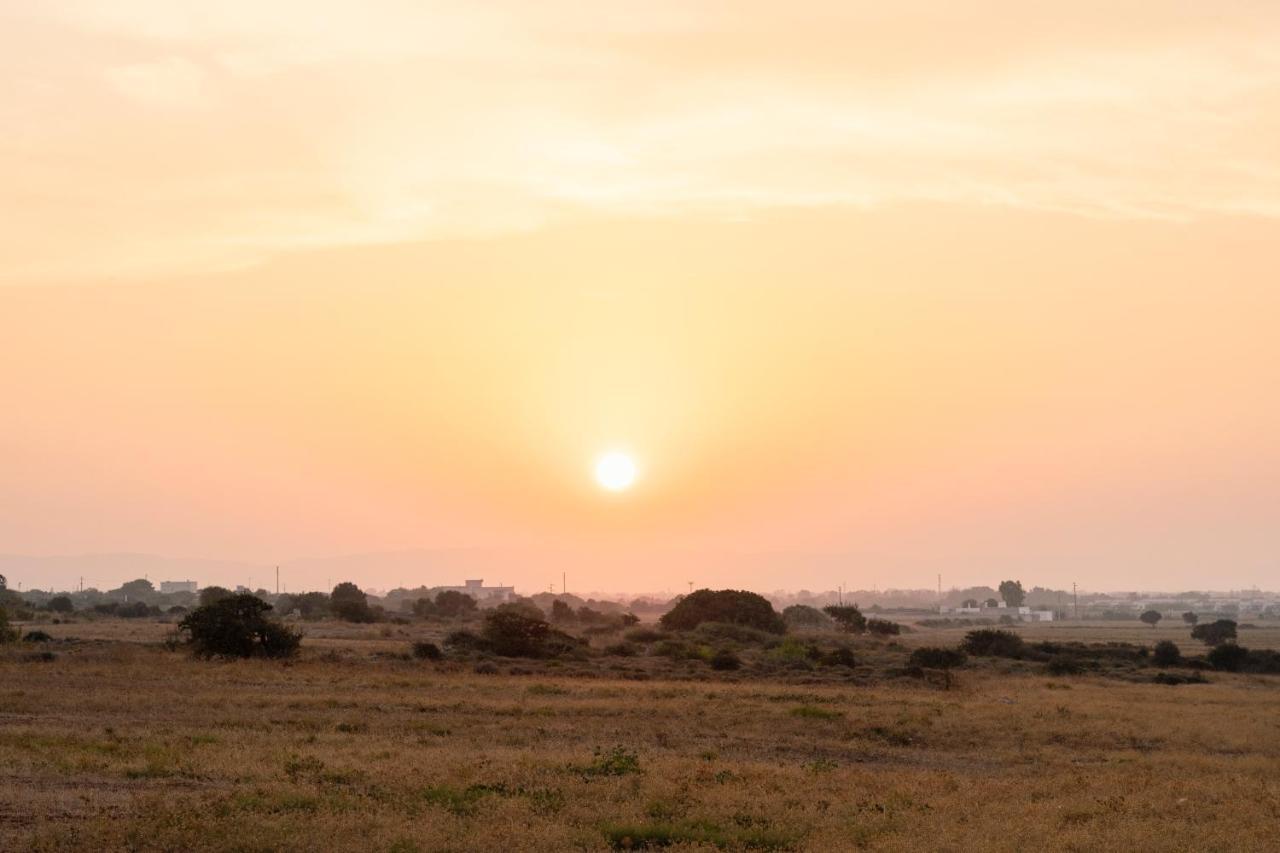 Masseria Gorgognolo Ostuni Εξωτερικό φωτογραφία